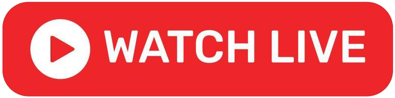 Example Button